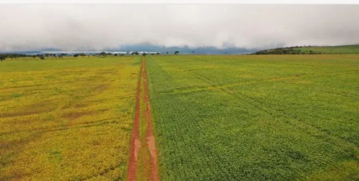 Fazenda de 120 alqueires em Água Fria Go 