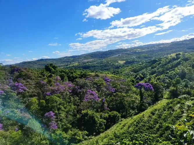 Terreno em Ibicoara-BA de 7.000 metros quadrados localizado na fazenda Pé de Serra a venda