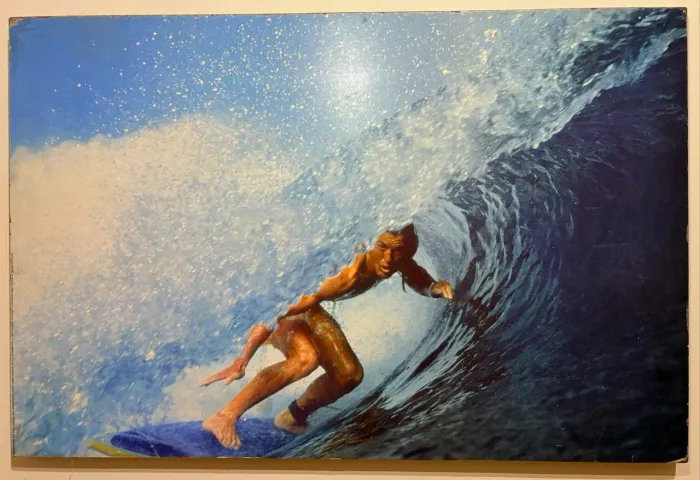 Quadro de parede (Medidas: 92cm comprimento x 60cm altura)