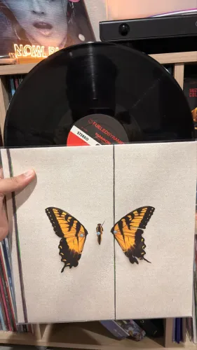 Vinil Paramore - Brand New Eyes