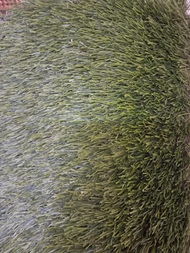 Kit de terrario