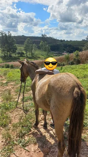 Egua pequeno porte