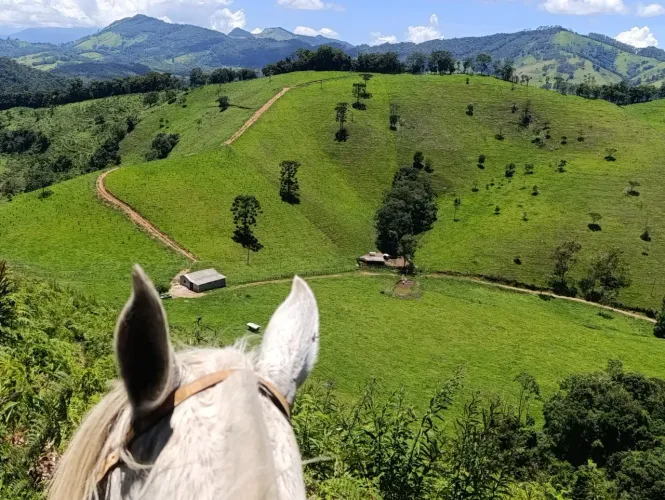 Sítio 43 Hectares em Virgínia, MG