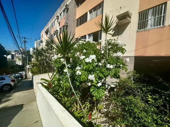 Apartamento à Venda no Condomínio Recanto Verde Luís Anselmo