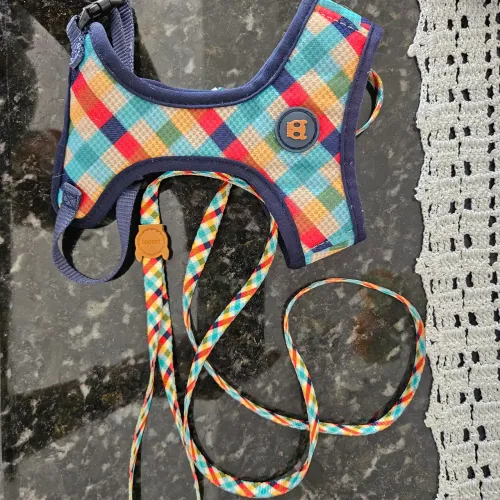 Kit coleira zeedog