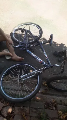 Bicicleta gallo aro 26