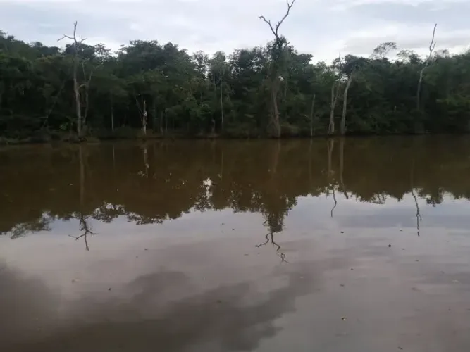 Fazendinha Rica em agua, fauna e flora