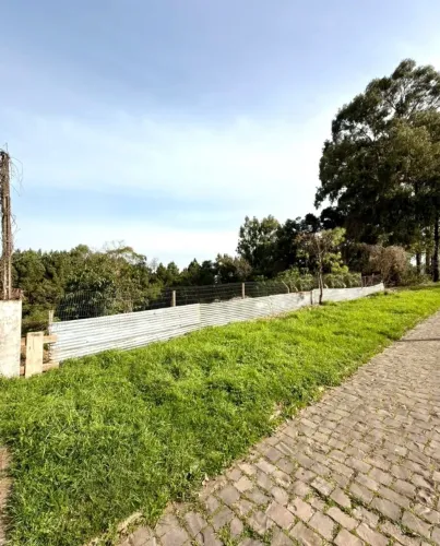 CAXIAS DO SUL - Terreno Padrão - BELA VISTA