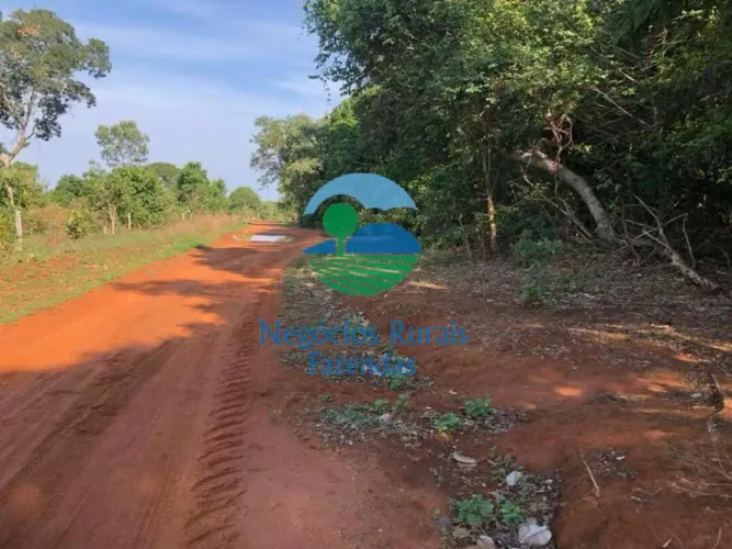 Fazenda 250 Alqueires (4.84) Dupla aptidão Formoso de Goiás Norte Goiano.