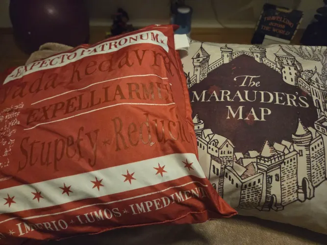 Jogo de duas almofadas coleção Harry Potter.