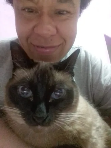 Cuidadora de cães e gatos no ABC
