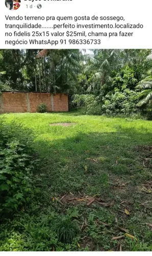 Terreno