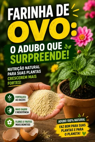 Farinha de Ovo - Adubo Natural - Plantas Mais Fortes!