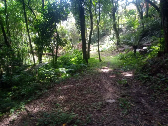 Vendo ou troco chácara em Bocaiúva 