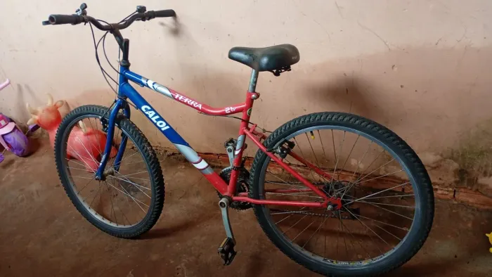 Bicicleta