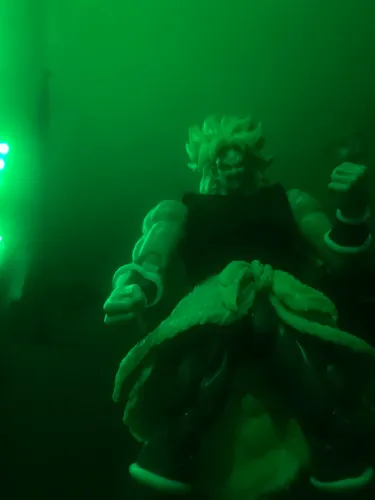 Broly bootleg