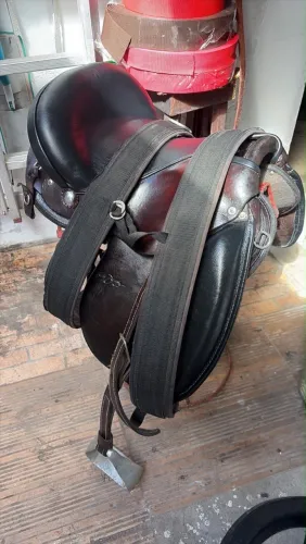 Sela América n15