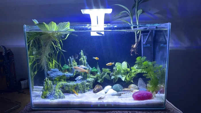 Aquário 26 litros completo 