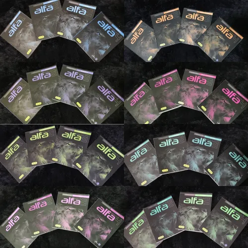 Coleção completa anglo (Remessa 2)