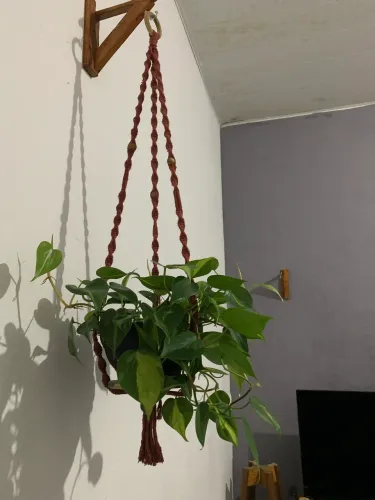 Macramê suporte de plantas