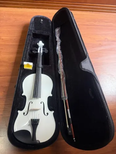 violino 4/4 eletroacustico branco prosperar madeira completo estojo termico arco crina bre
