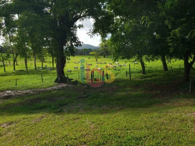 Vendo Fazenda em Barro Preto com 130Ha