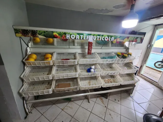 Expositor Hortifruti Grande