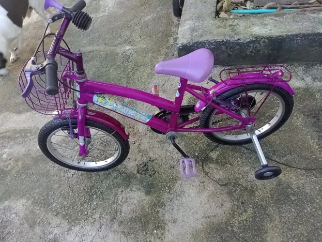 Bicicleta menina aro 16
