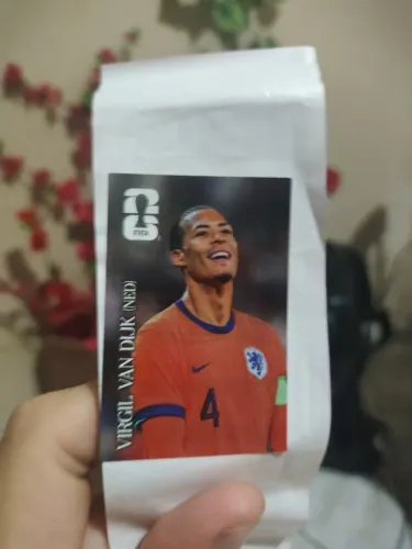 Carta da copa Virgil van dijk