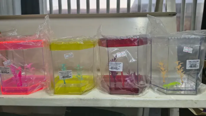 Beteira 1,5L