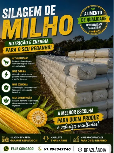 Silo de milho