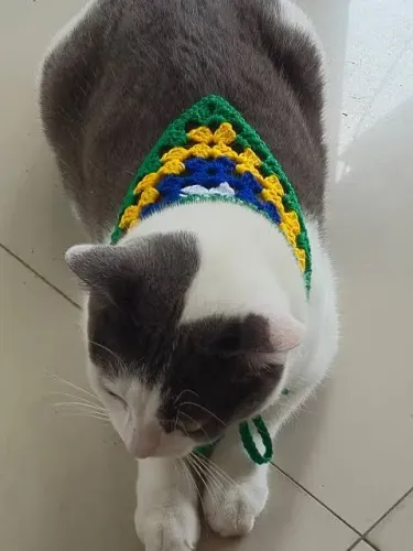 Bandana do Brasil em crochê para pet