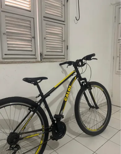 BIKE CALOI V ARO29