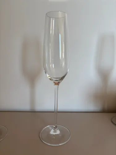Taça de champanhe Schott Zwiesel 11 unidades