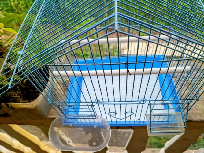 Gaiola para calopsita
