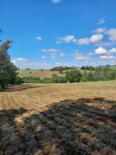 Sítio | BR 369 | Ibiporã