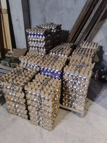 Caixa de ovos tipo A