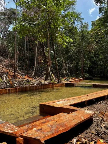 Terreno com igarape 