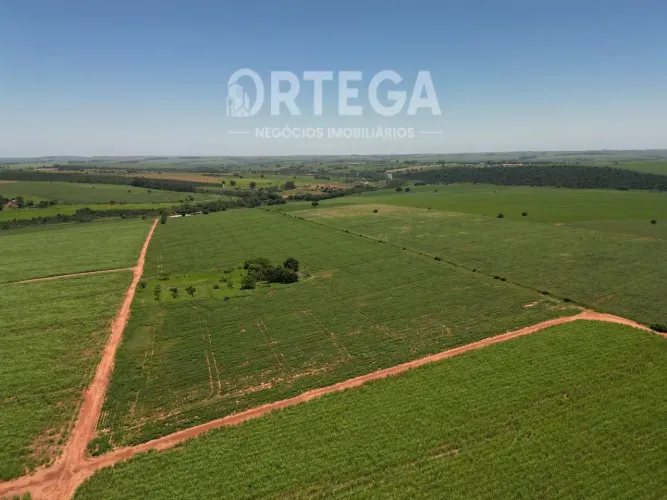 Area para venda no Paraná.