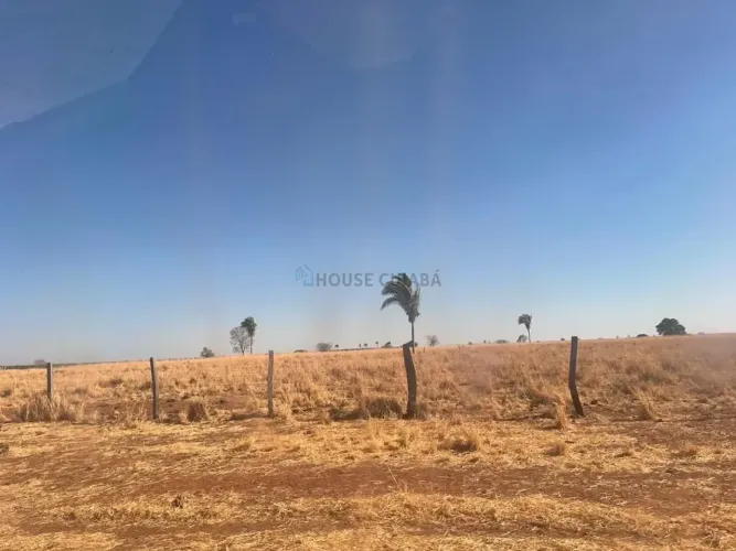 fazenda no município de São Miguel do Araguaia Goiás