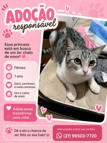 Doação responsável 
