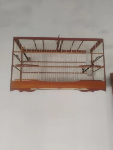 Vendo voador 