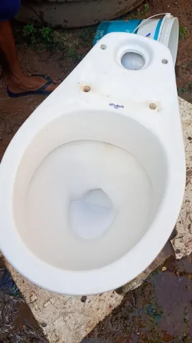 Vasso sanitário
