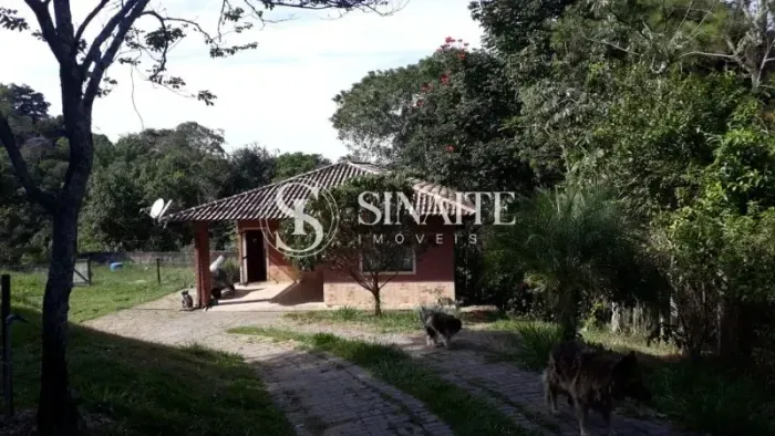 Linda casa em Penedo!