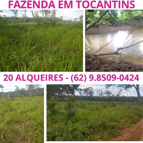 Fazenda a Venda em Tocantins Porto Nacional Rua Setor Regiao Bairro