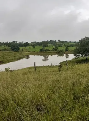 Vende-se Fazenda  de 189 alqueires em Mara Rosa-GO 
