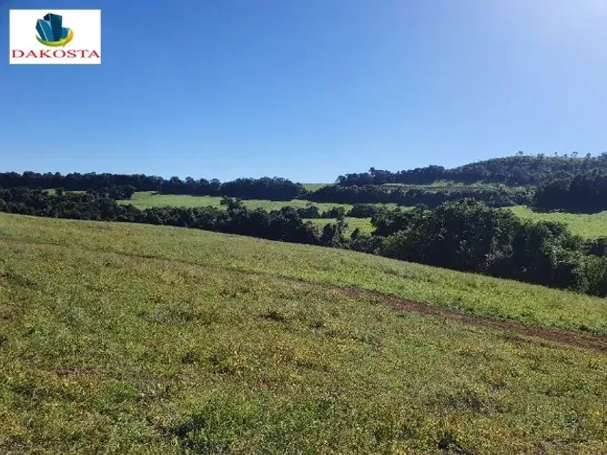 71 Alqueires fazenda quase toda plana, dá 50 alqueires de lavouras 8 km BR