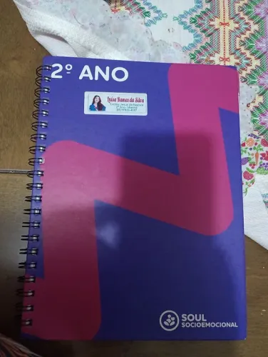 Livro sócio emocional 2 ano fundamental l