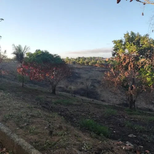 Área no alto de IPIOCA.