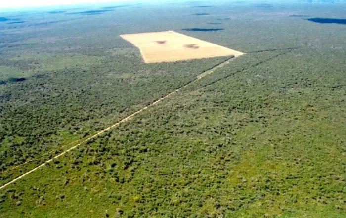 Fazenda em Redenção do Gurgueia-PI